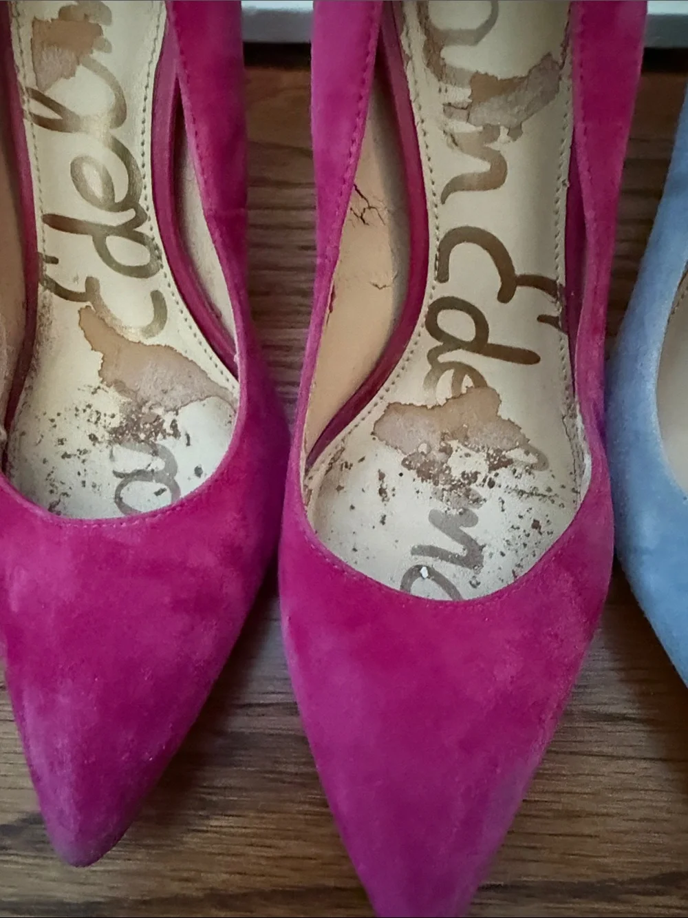 Sam Edelman Pointed Toe Pumps in Leopard, Hot Pink, Light Blue, Olive and Slate